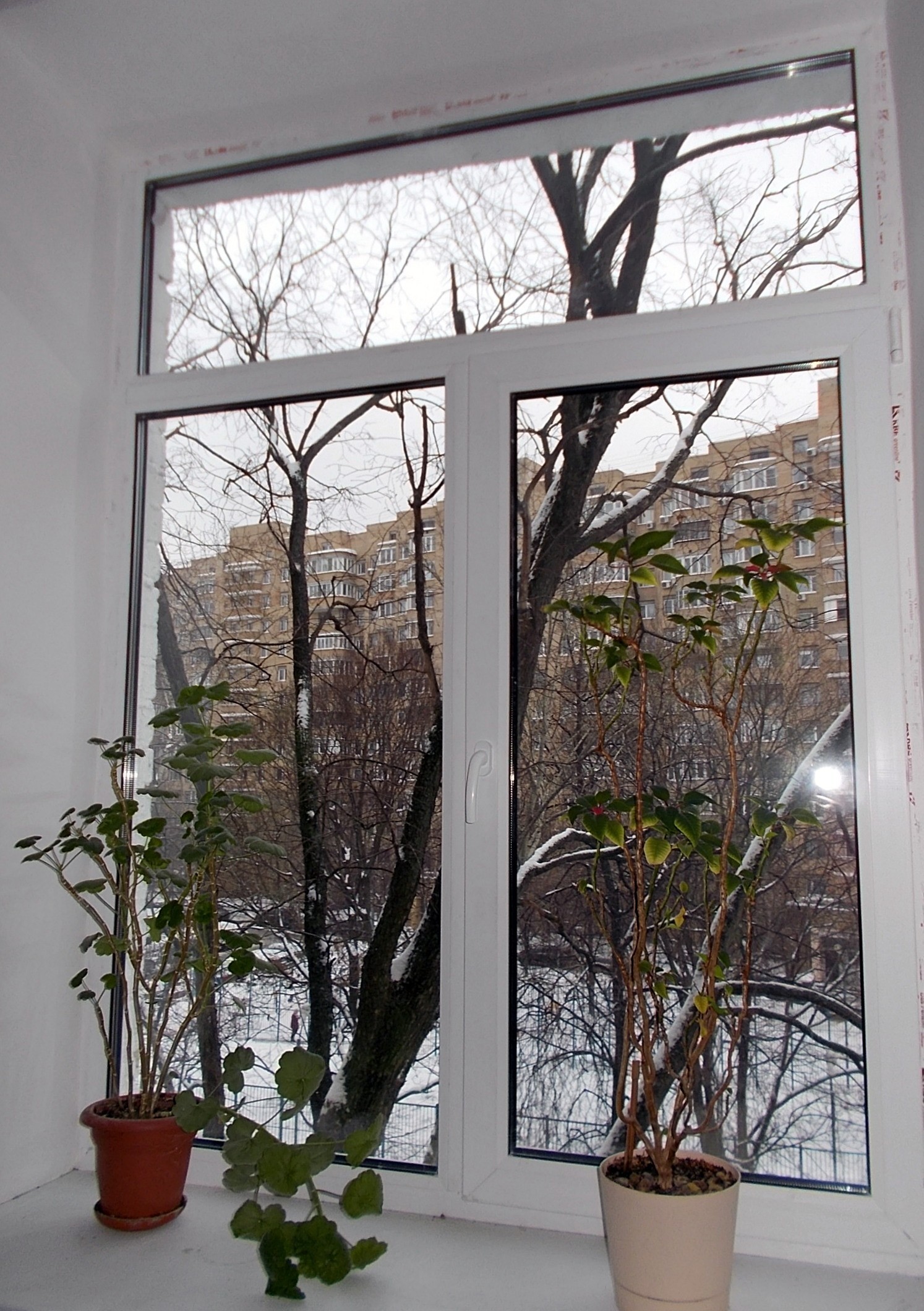 г Москва, пер Тишинский М., д 11/12