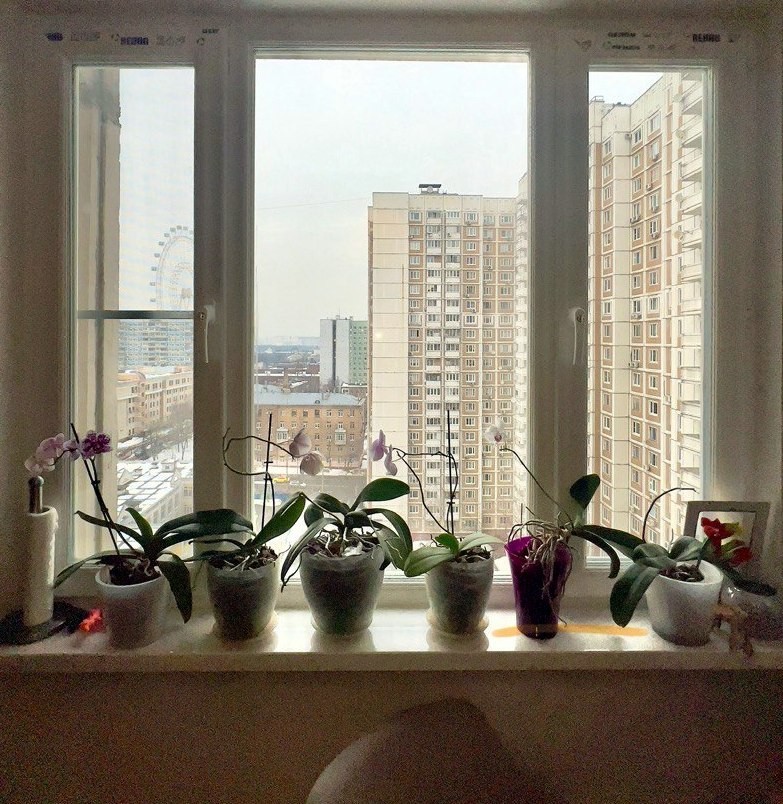 г Москва, ул Академика Королева, д 4 к 1