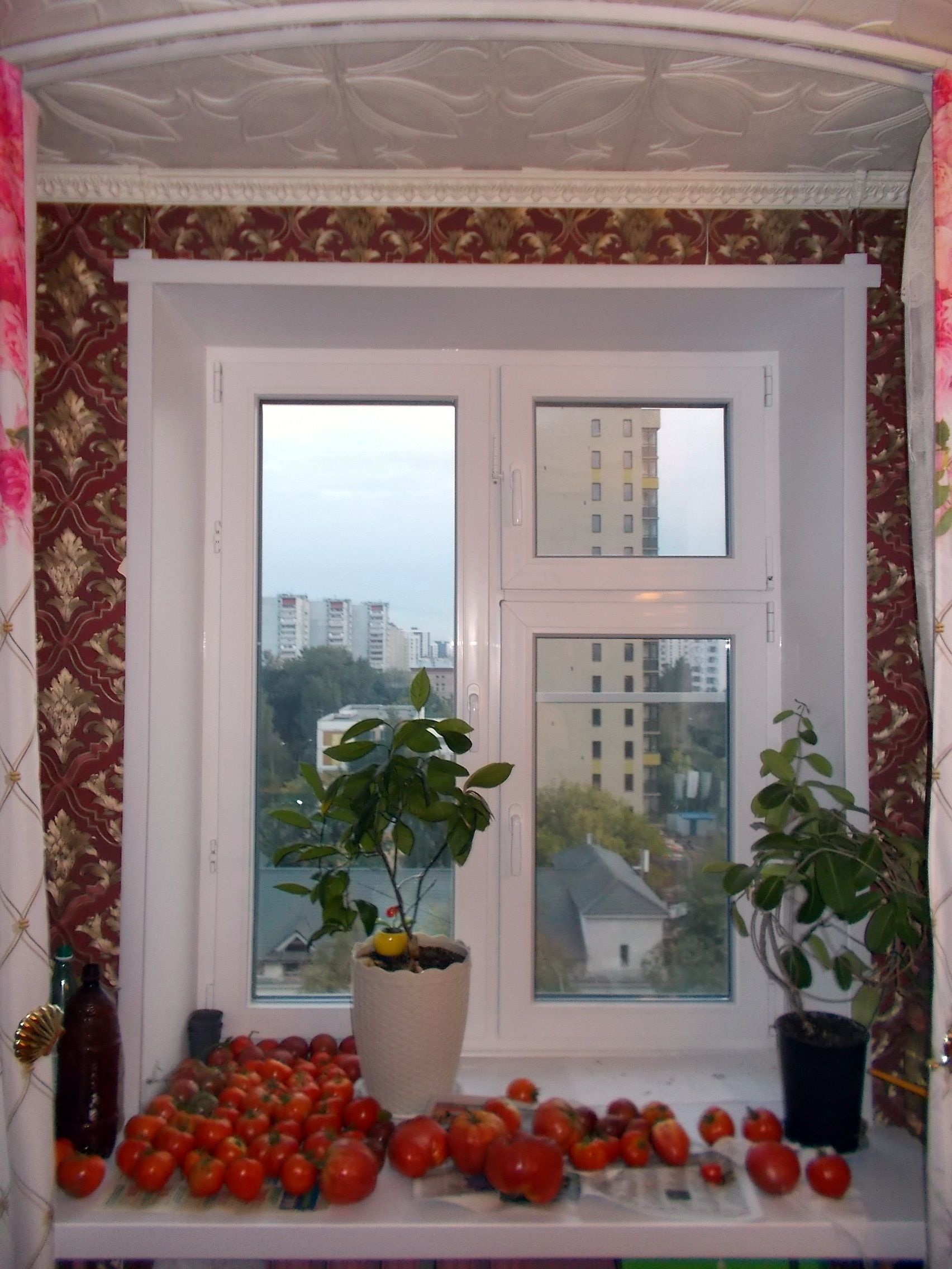 г Москва, ул Лобненская, д 9