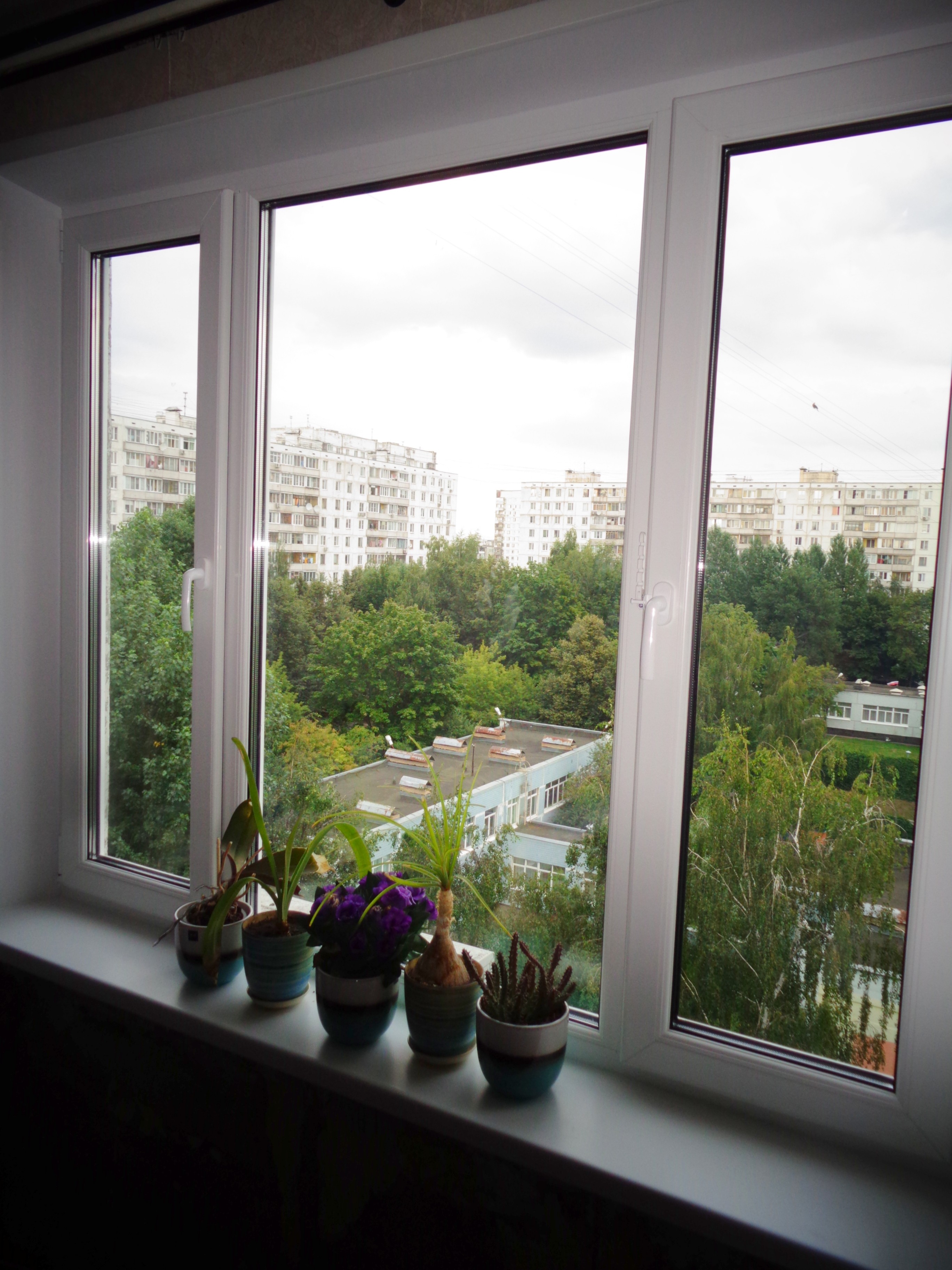 г Москва, Ореховый б-р, д 23 к 2