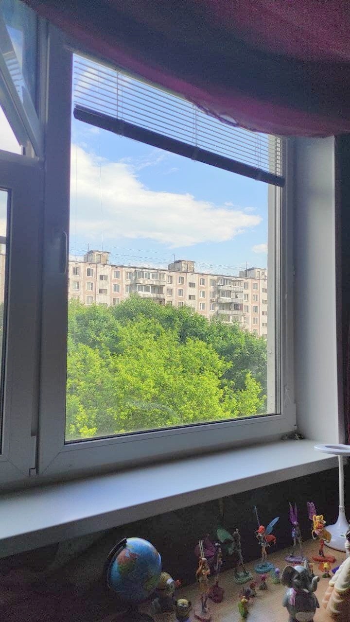 г Москва, Соловьиный проезд, д 6