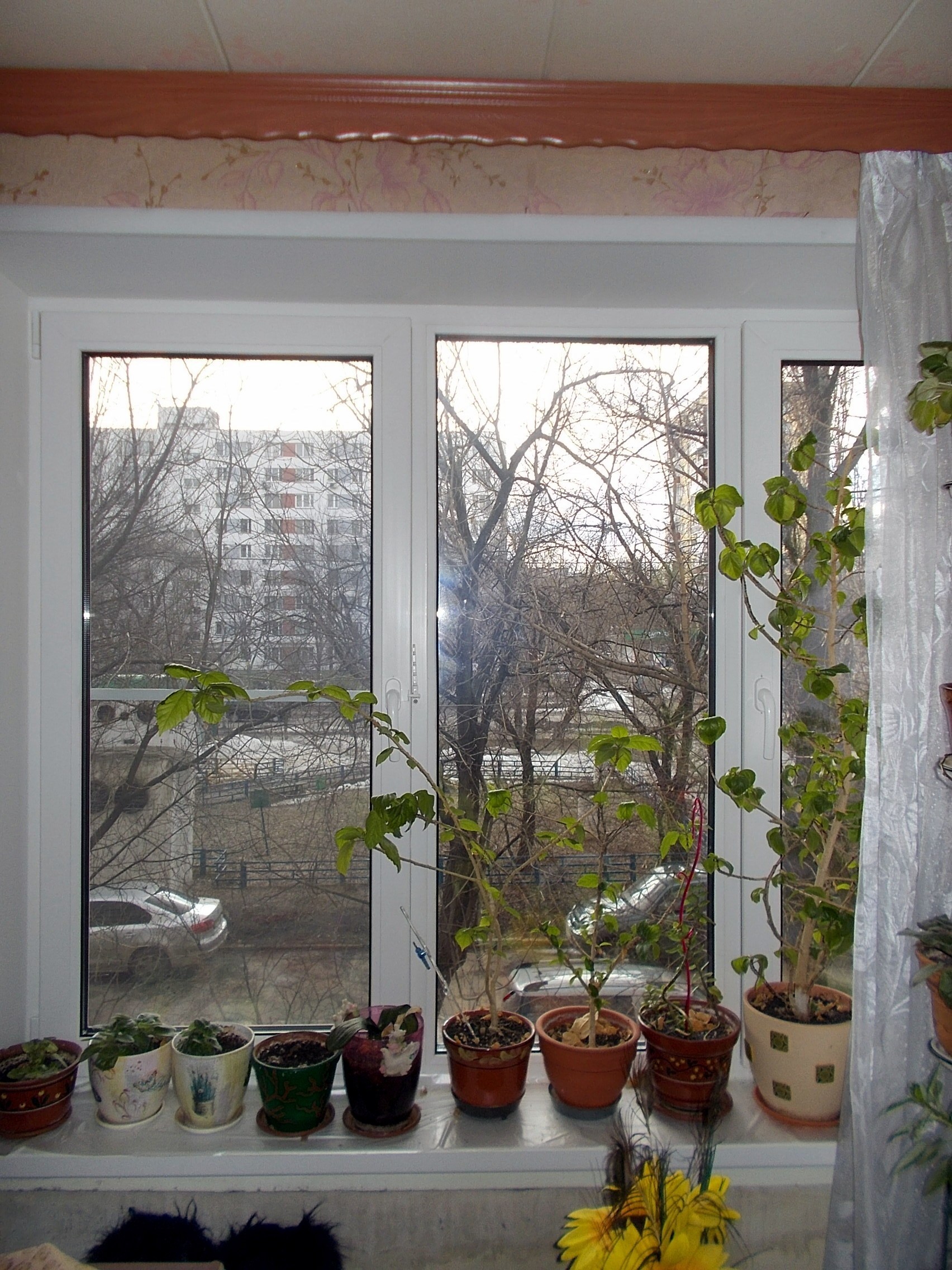 г Москва, ул Ферганская, д 13 к 1