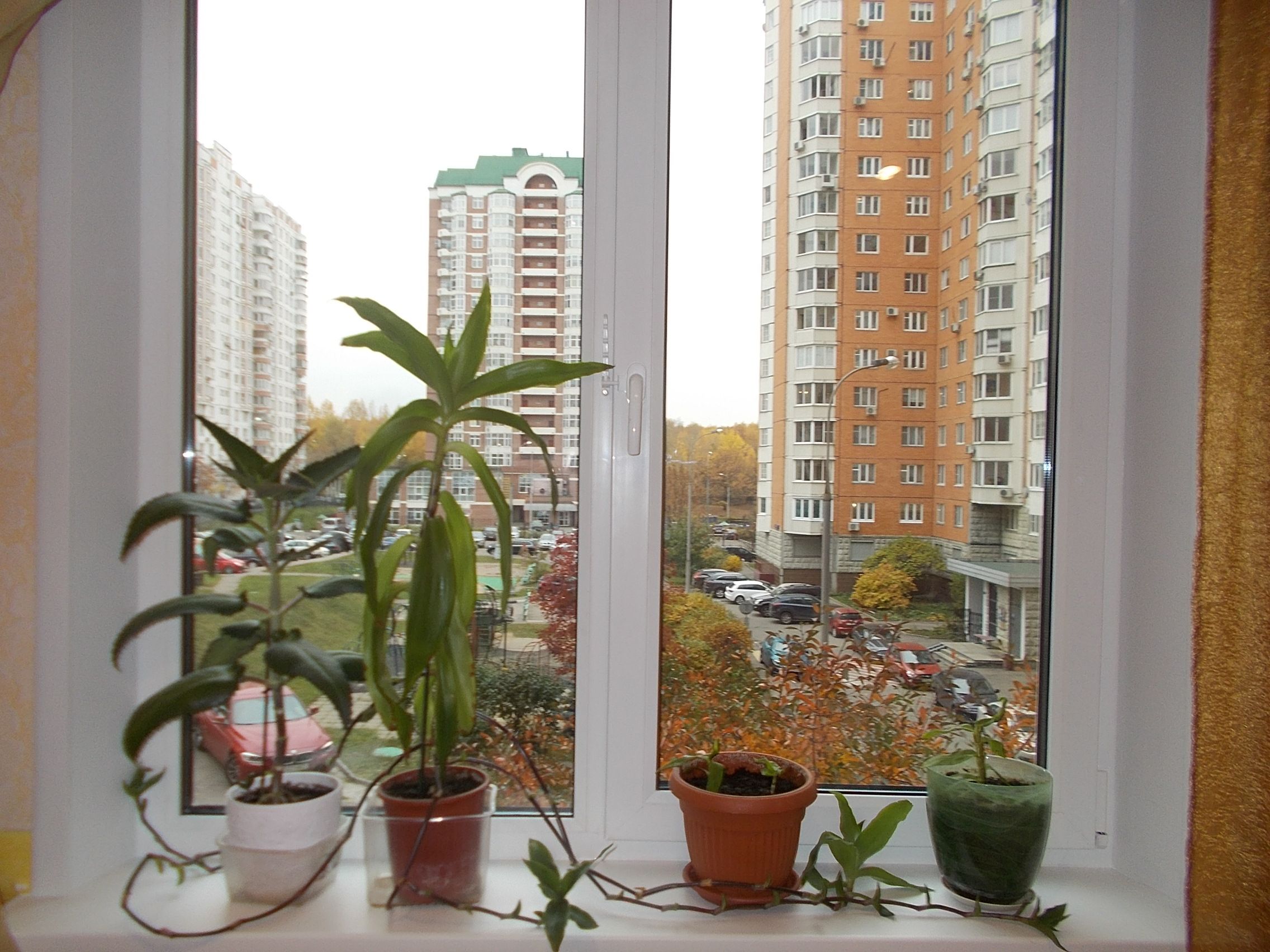 г Москва, ул Островитянова, д 9 к 4