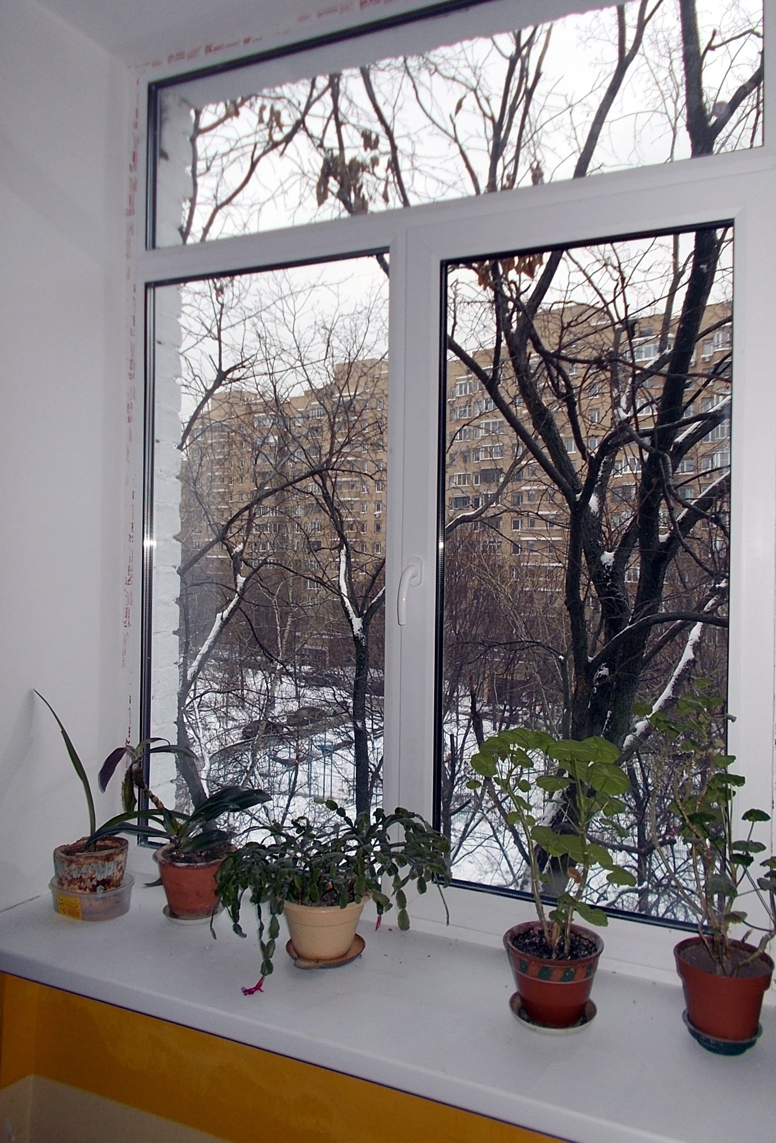 г Москва, пер Тишинский М., д 11/12