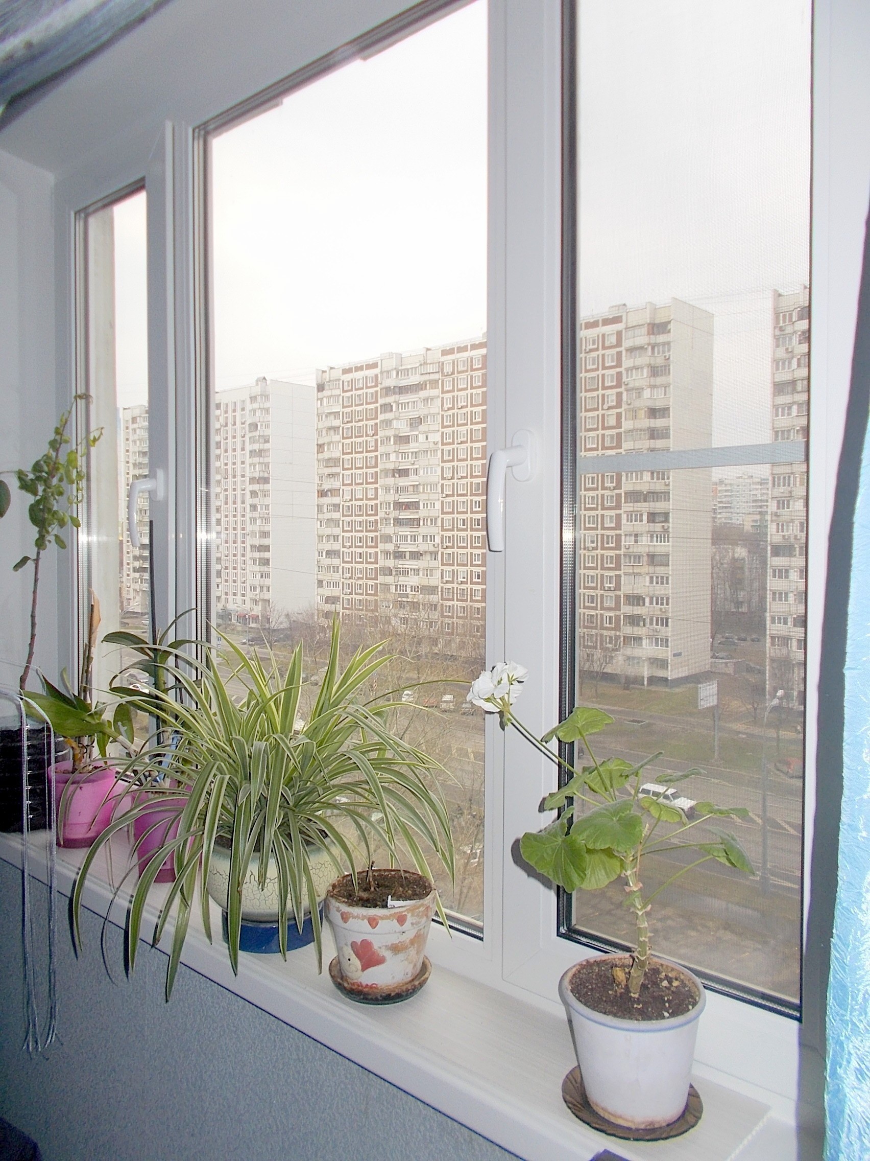 г Москва, Балаклавский пр-кт, д 5