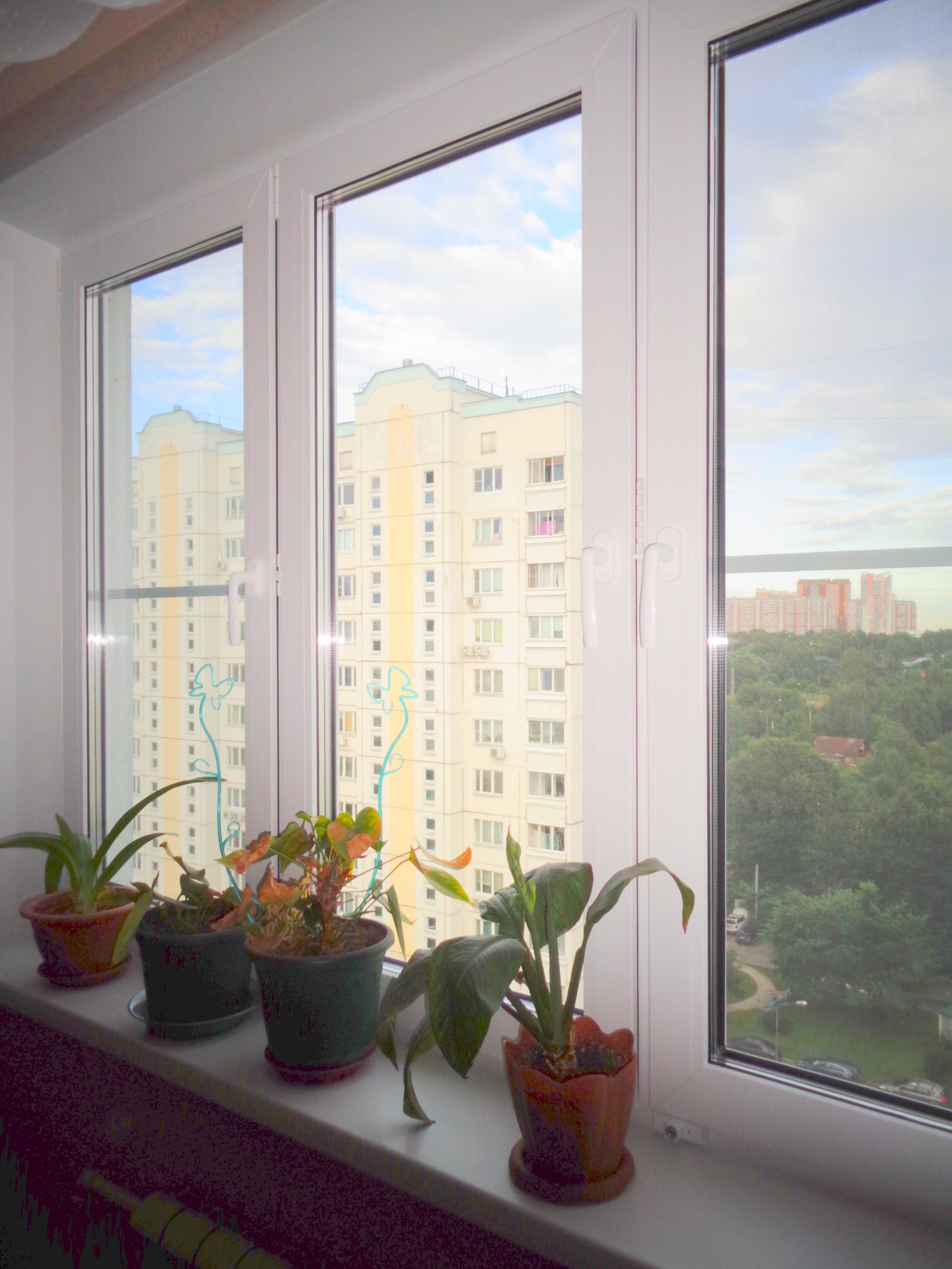 г Москва, ул Изюмская, д 43