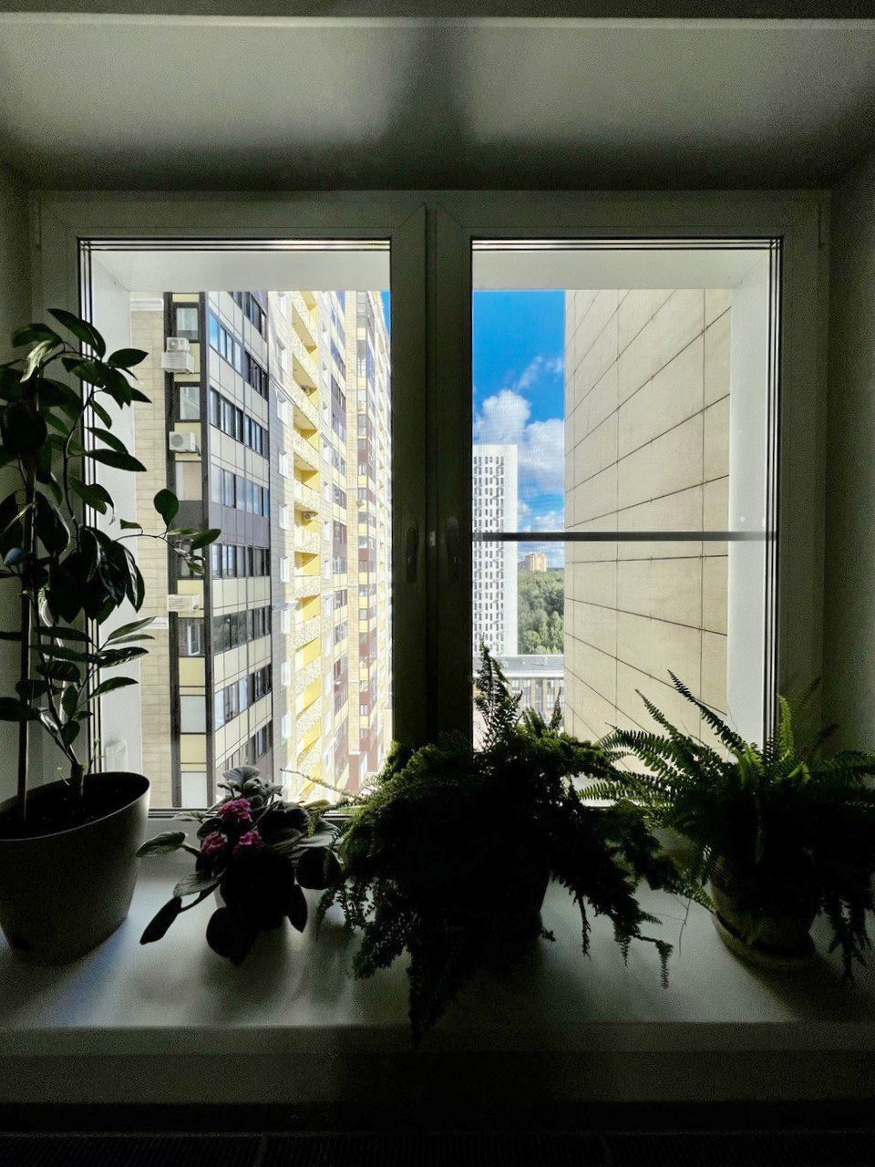 Московская обл, г Пушкино, ул Тургенева, д 13