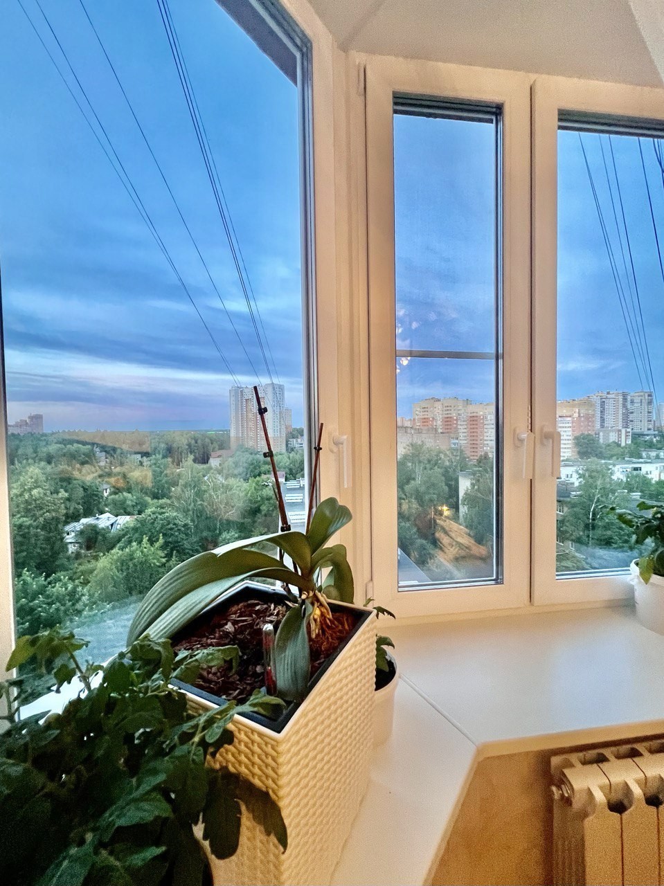 Московская обл, г Пушкино, ул Некрасова, д 7