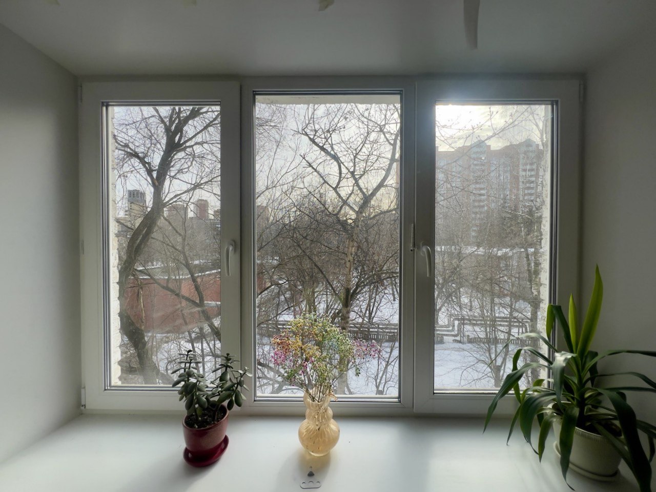 Московская обл, г Реутов, пр-кт Мира, д 55
