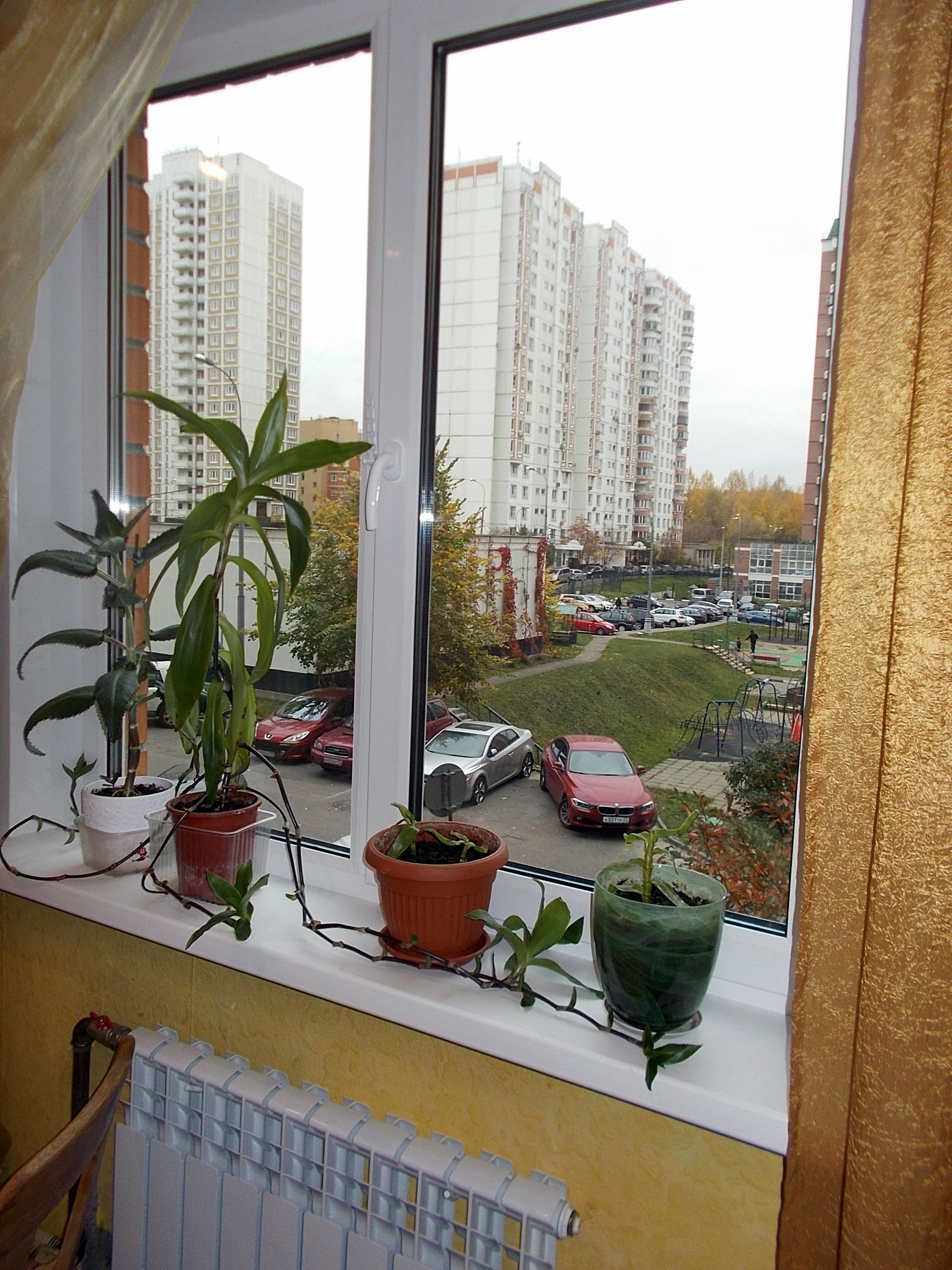 г Москва, ул Островитянова, д 9 к 4