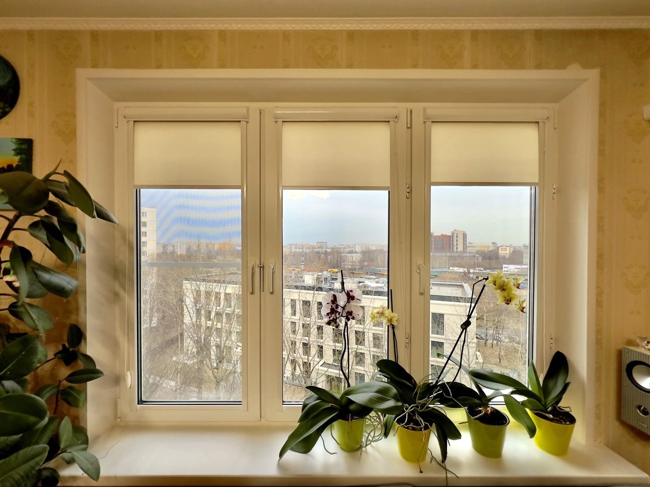 г Москва, Булатниковский проезд, д 10 к 1