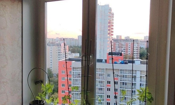 г Москва, Заревый проезд, д 12