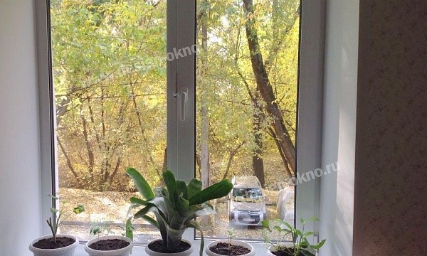 Окна с видом на осенний парк и