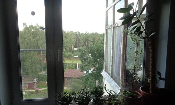 Московская обл, г Пушкино, ул Л.Толстого, д 19