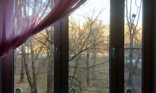 Пластиковое окно с видом на деревья