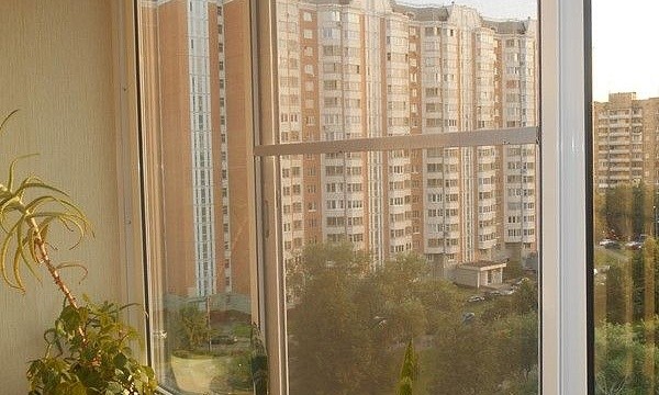 Окна с растениями на ул. Молодцова, д.