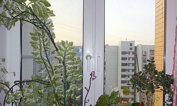 г Москва, ул Новомарьинская, д 14/15