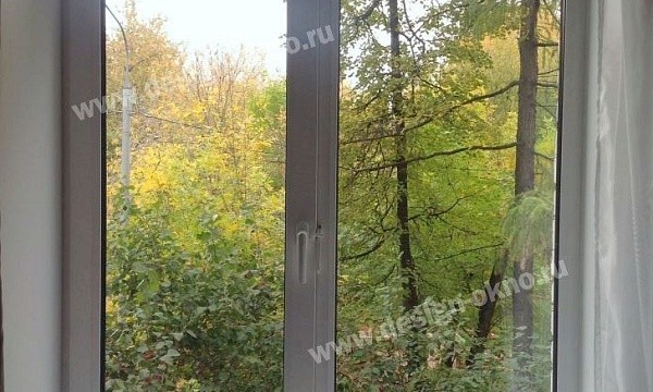 Двустворчатое пластиковое окно в Москве
