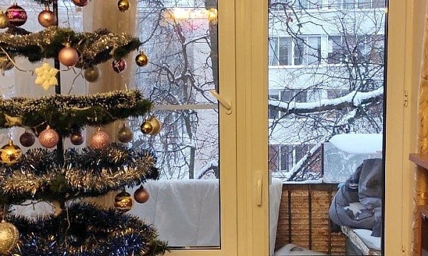 г Москва, ул Первомайская Нижн., д 25