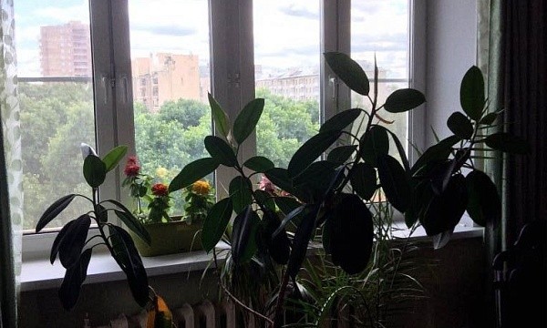 г Москва, ул Кашёнкин Луг, д 6 к 1