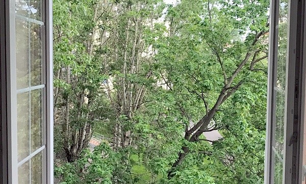 г Москва, ул Михайлова, д 26,