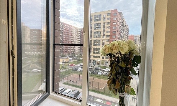 Московская обл, г Пушкино, ул Просвещения, д 8 к 2