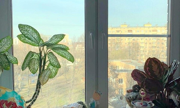г Москва, ул Бориса Галушкина, д 19 к 2
