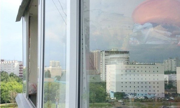 г Москва, ул Профсоюзная, д 116
